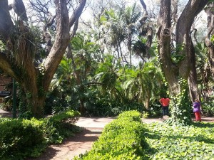 Im Botanischen Garten