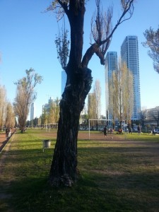 Puerto Madero