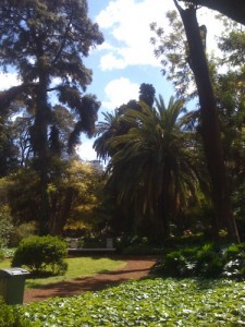 Im Botanischen Garten