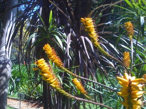 Im Botanischen Garten