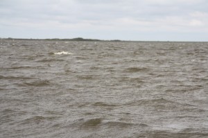 Laguna Iberá