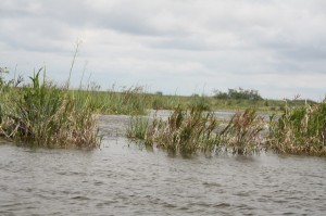 Laguna Iberá