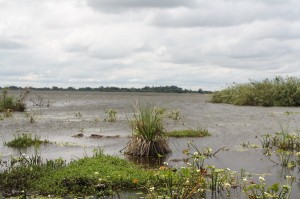 Laguna Iberá