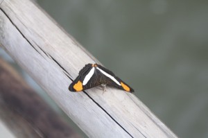 Iguazú Argentinien