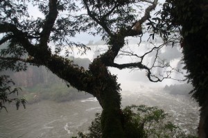 Iguazú Argentinien