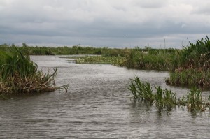 Laguna Iberá