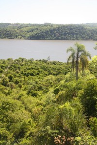 Naturpark Teyú