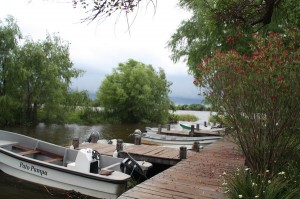 Laguna Iberá