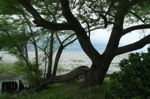 Laguna Iberá