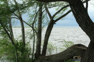 Laguna Iberá