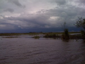 Laguna Iberá