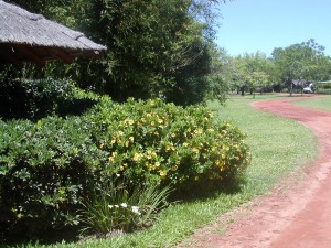 Camping Iberá