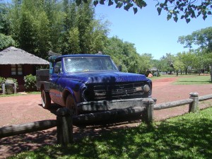 Camping Iberá