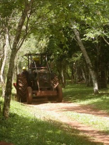 Moconá