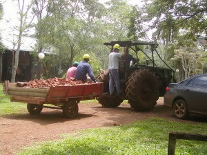 Moconá