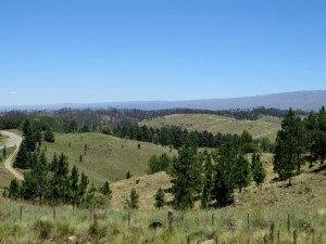 Belgrano Umgebung