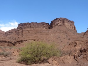 Quebrada de las Conchas 