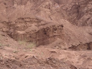 Quebrada de las Conchas 