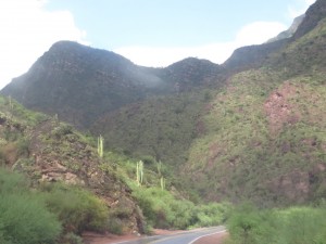 Quebrada de las Conchas