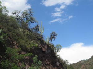 Quebrada de las Conchas