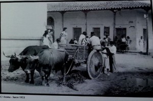 Santa Cruz 1952