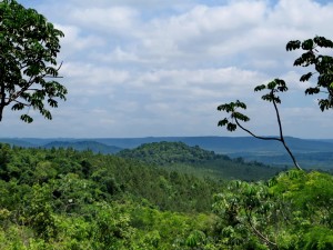 Iauf der Strecke nach Iguazú