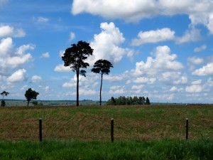 Südbrasilien