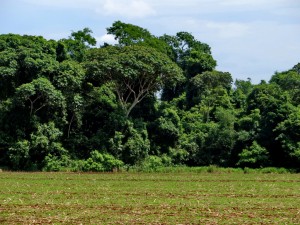 Südbrasilien