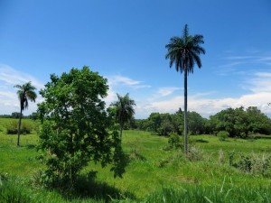 Südbrasilien