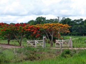 Südbrasilien 