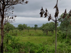 Zur Grenze nach Bolivien