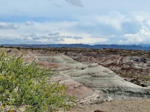 Valle Pintado