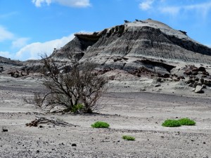 Chanca de Bochas 