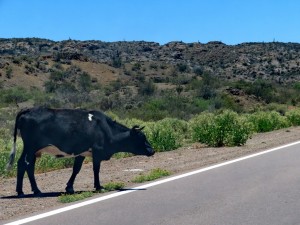 Weg nach Tayampala