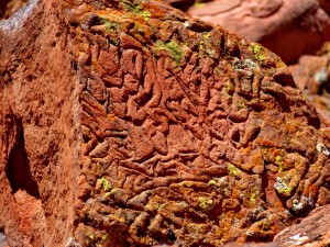 imgimg_Felsenbrocken mit Steinzeichnungen