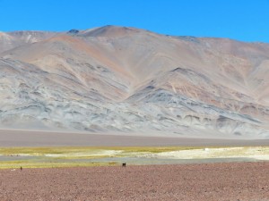 bis Las Grutas