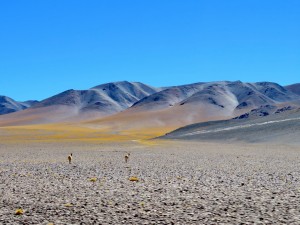 bis Las Grutas