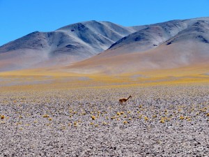 bis Las Grutas