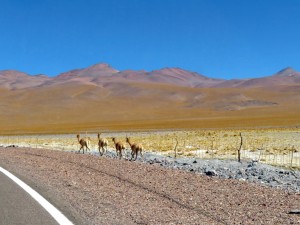 bis Las Grutas