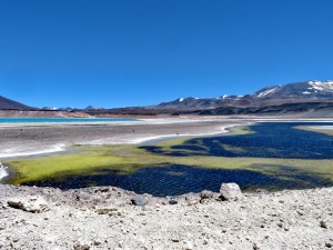 an der Laguna Verde