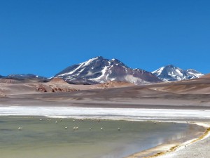 an der Laguna Verde