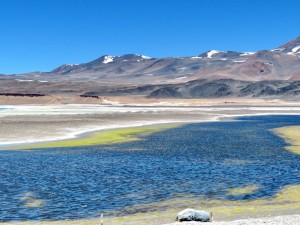 an der Laguna Verde