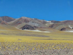 img_Paßabfahrt nach Valle Chaschuil