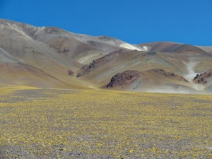 img_Paßabfahrt nach Valle Chaschuil