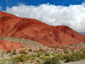 Fahrt nach Fiambalá