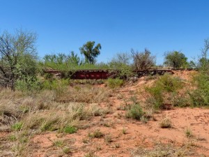 zurück nach Belgrano