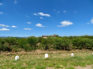 zurück nach Belgrano