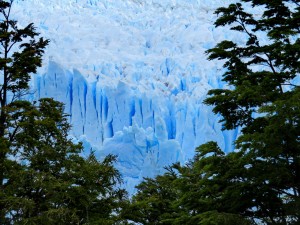 Gletscher Perito Moreno_05