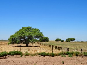 Richtung Rio Negro