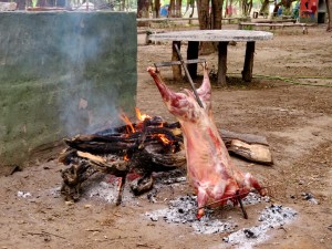 Choele Choel Campingplatz Isla 92